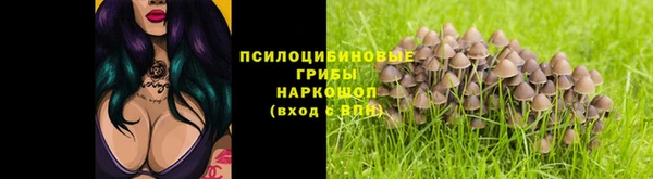PSILOCYBIN Наволоки