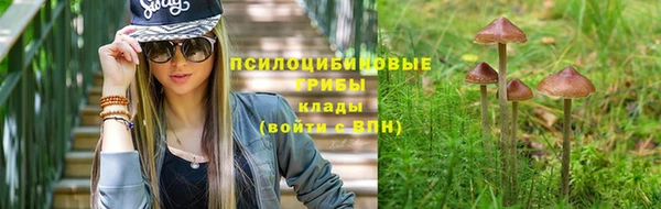 2c-b Билибино