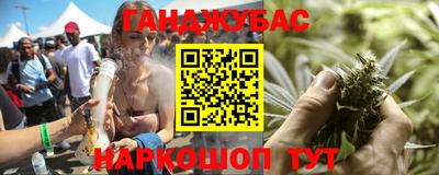 индика Аргун