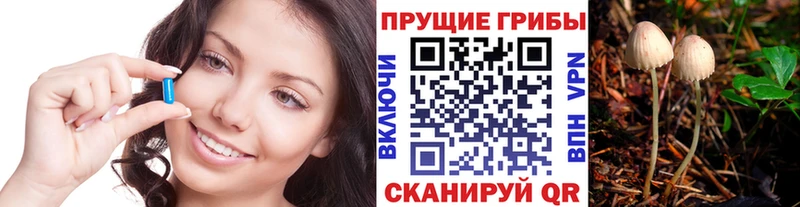 Галлюциногенные грибы мухоморы  где найти наркотики  Белгород 