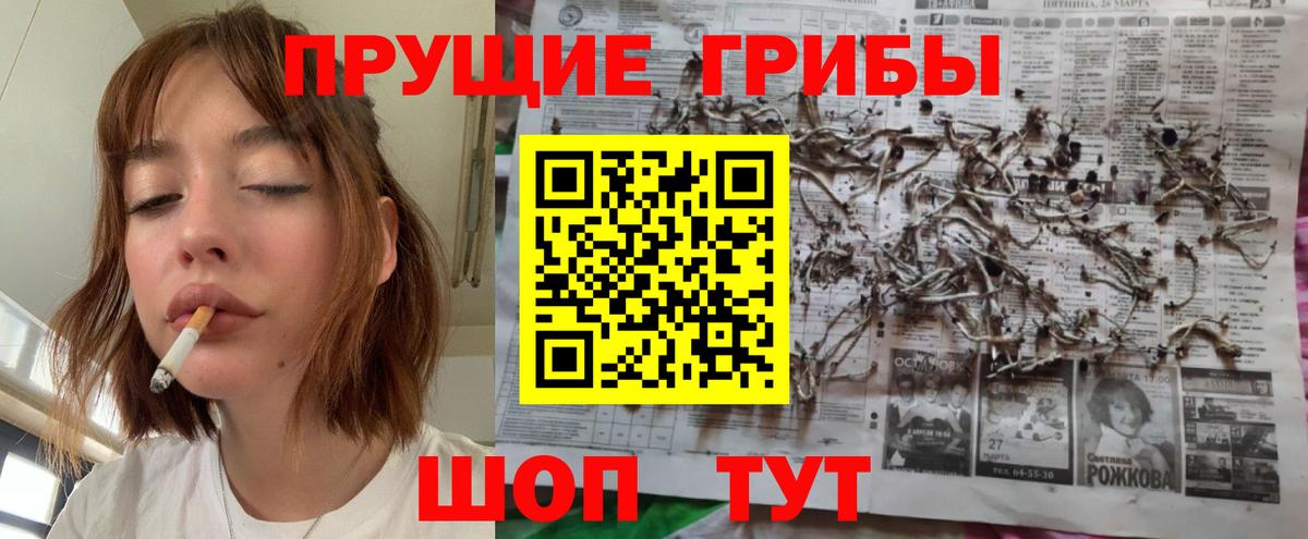 Псилоцибиновые грибы ЛСД  Вход с VPN  Белгород  Галлюциногенные грибы GOLDEN TEACHER 