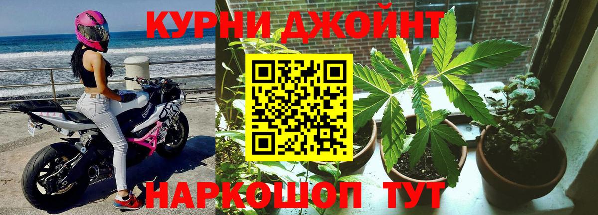Шишки марихуана OG Kush Белгород